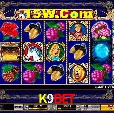 Recursos de Bônus K9Bet